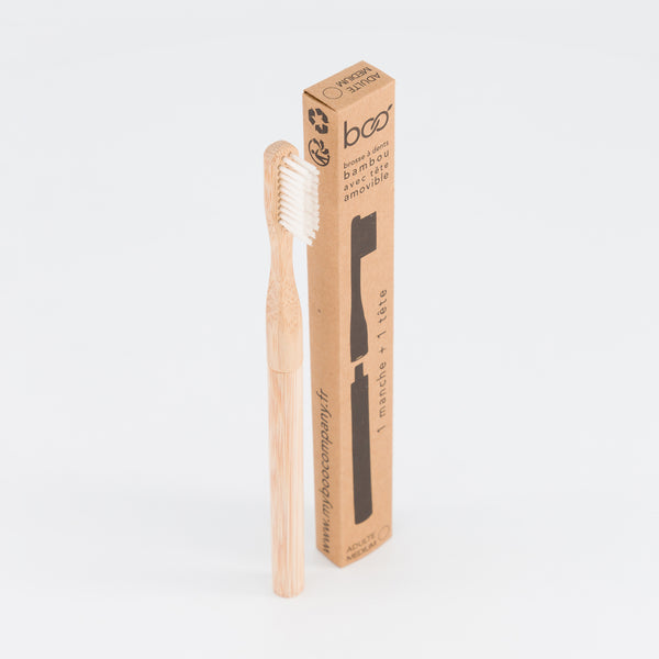 BROSSE A DENTS MEDIUM - TETE INTERCHANGEABLE